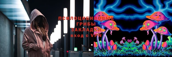 прущая мука Арсеньев