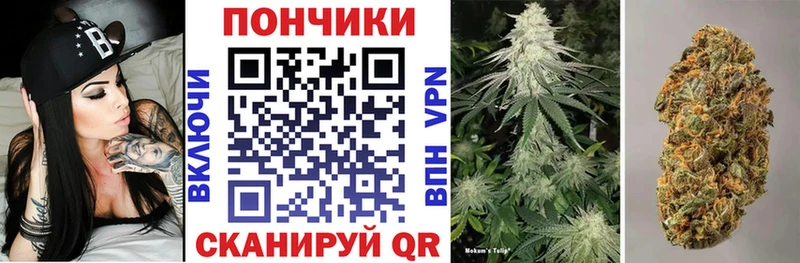 купить  цена  Усть-Лабинск  Канабис конопля 
